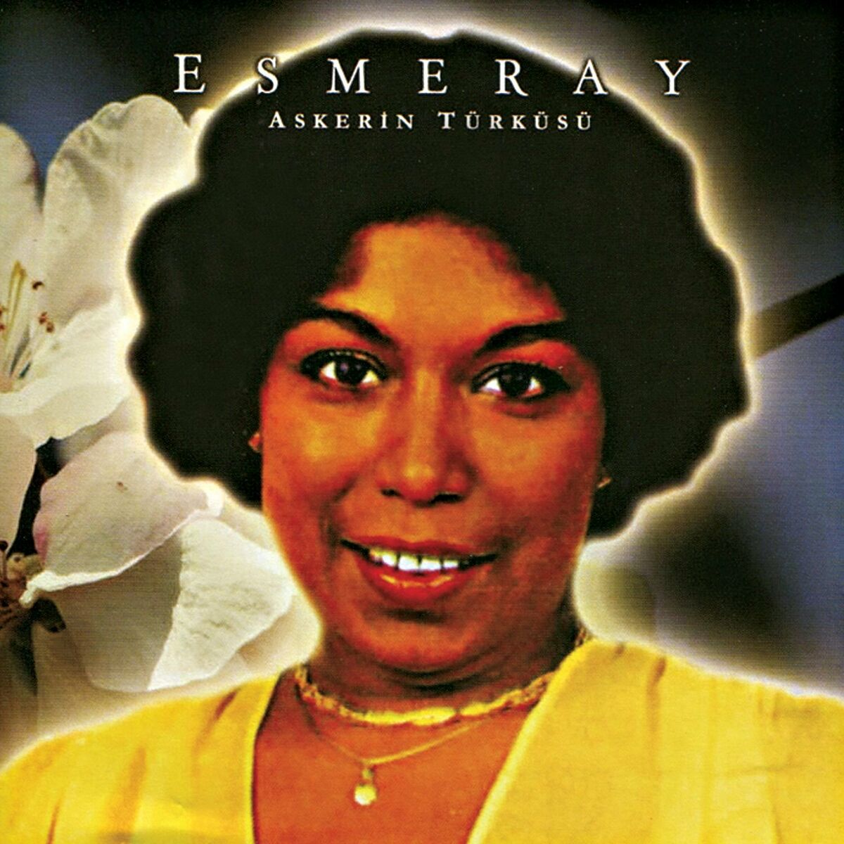 Album cover of Bir Kaşı Kara
