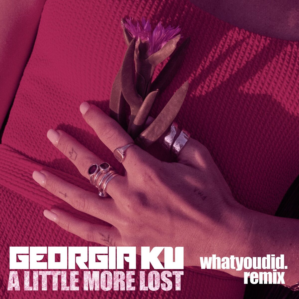 Album cover of A Little More Lost