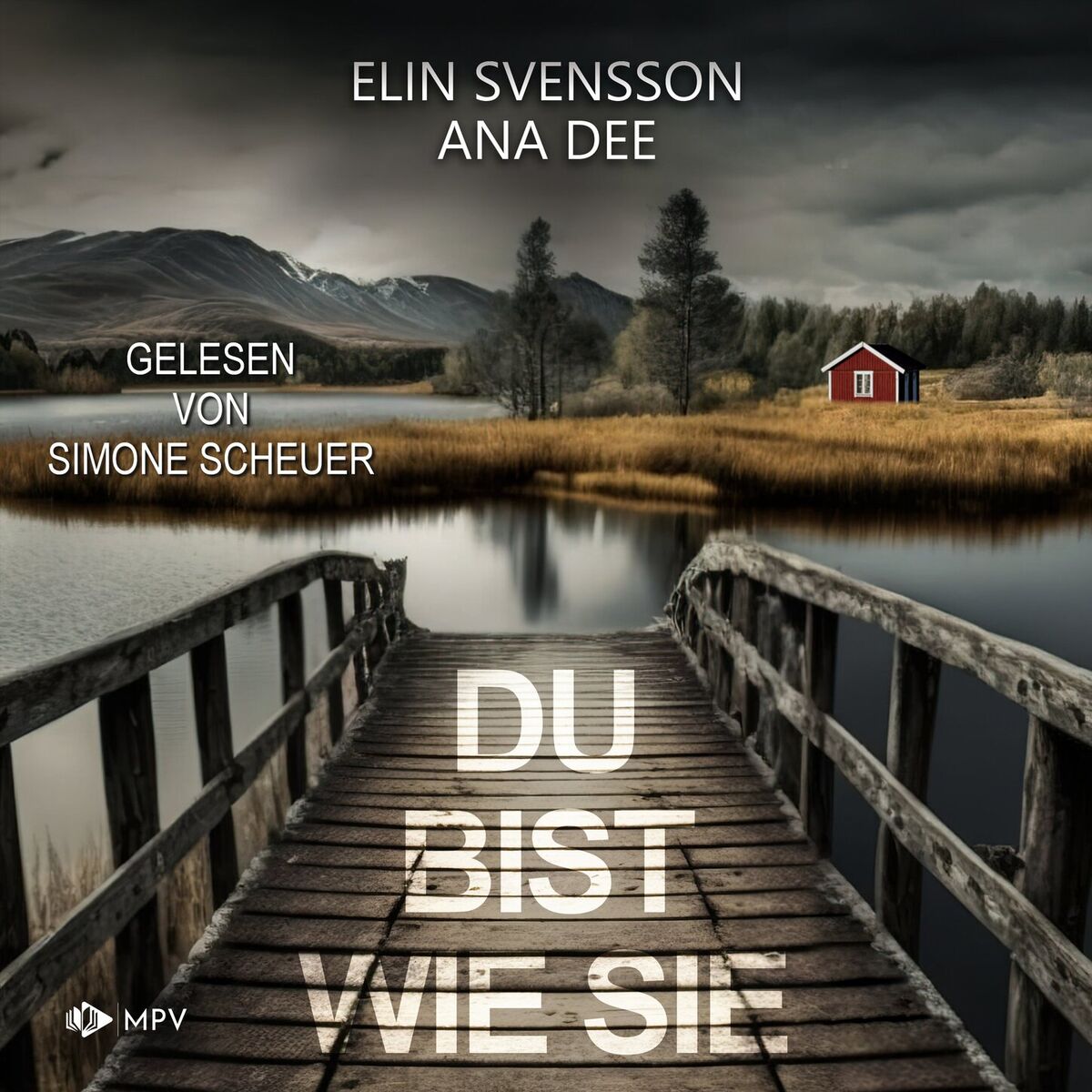 Album cover of Kapitel 1 - Du bist wie sie: Schweden-Krimi