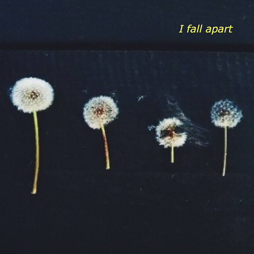 Picture of I Fall Apart