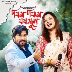 Cover of RIMJHIM BOROXUNE
