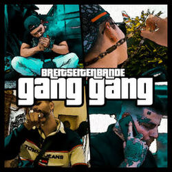 Cover of Gang Gang
