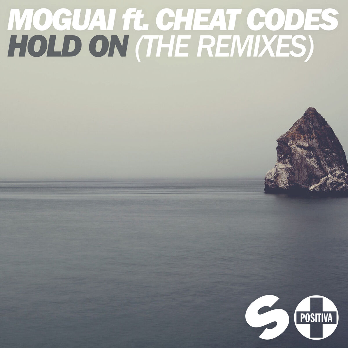 Album cover of Hold On (The Remixes)