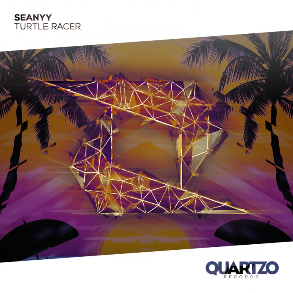 Picture of Turtle Racer (Quartzo Records Miami Sampler 2019)