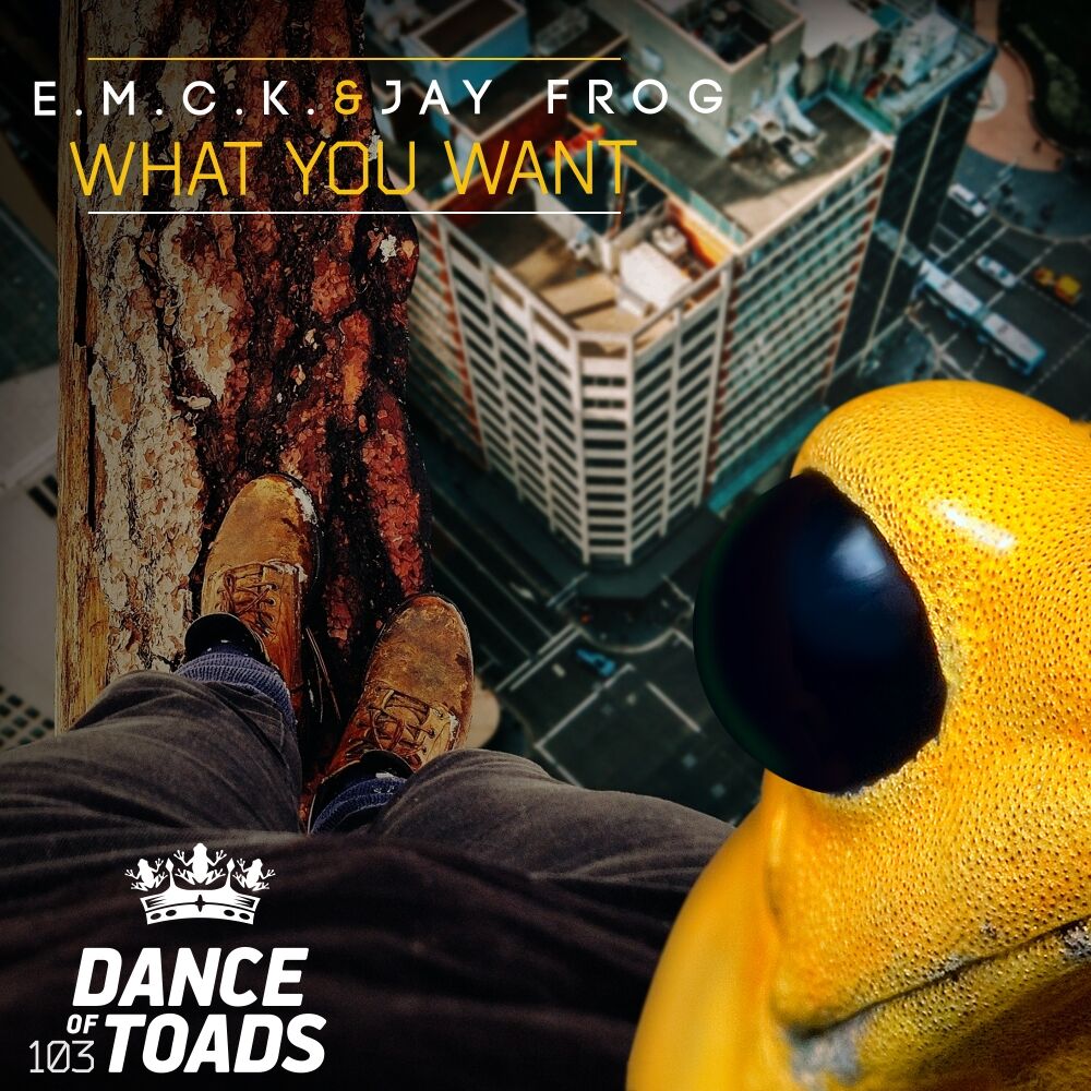 Picture of What You Want