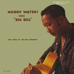 Cover of Muddy Waters Sings Big Bill Broonzy