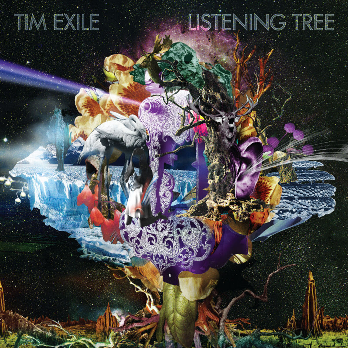 Album cover of Listening Tree