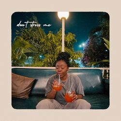Cover of Don't Stress Me