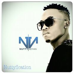 Cover of Nuttyfication