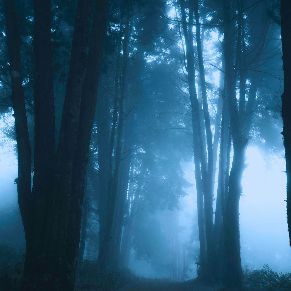 echoes of eden