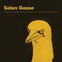 Cover of Solan Goose