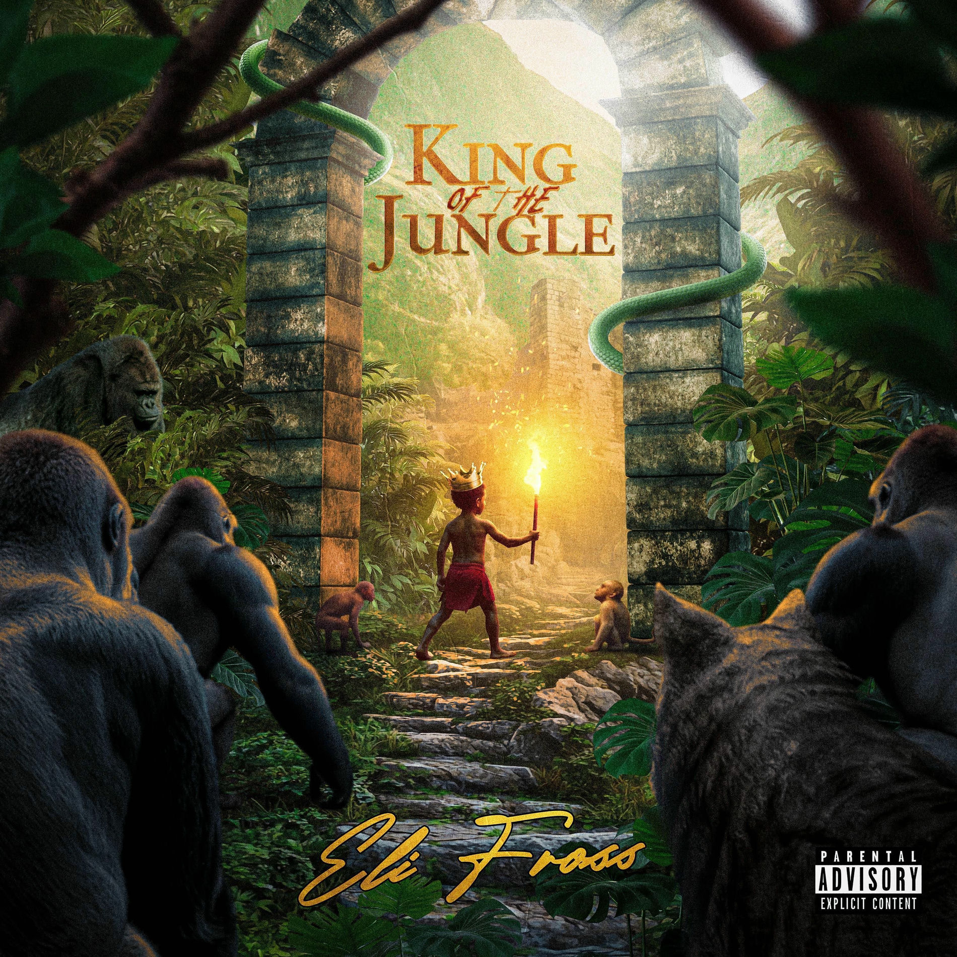 Album cover of King Of The Jungle