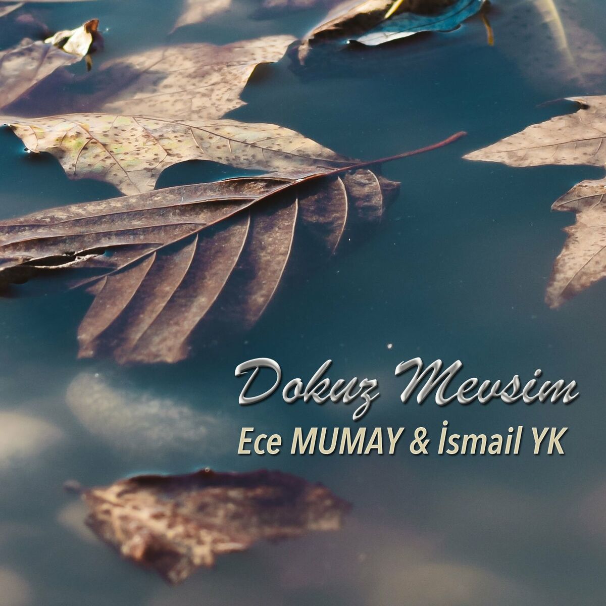 Album cover of Dokuz Mevsim