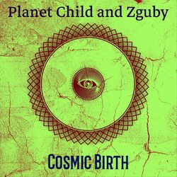 Cover of Cosmic Birth