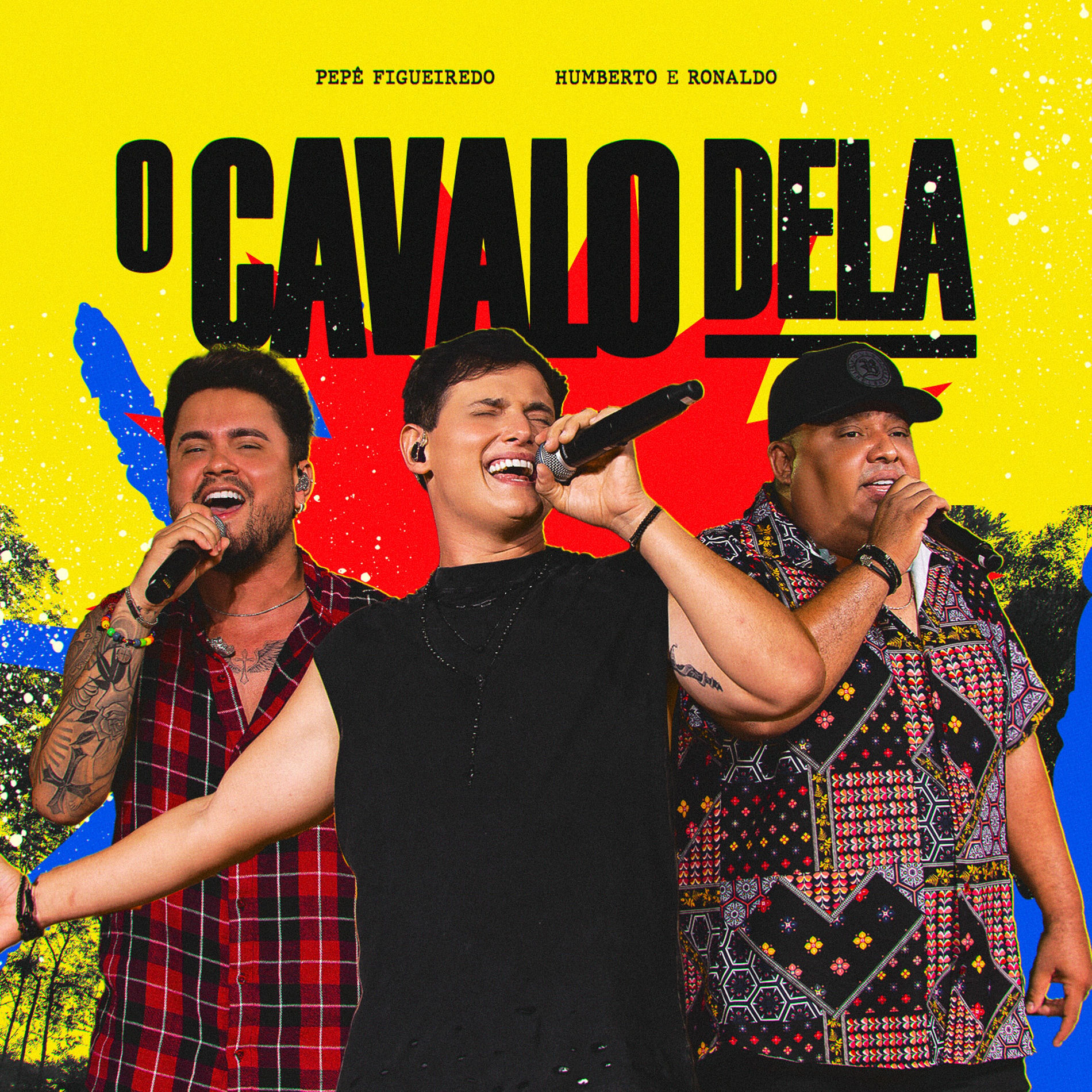Album cover of O Cavalo Dela