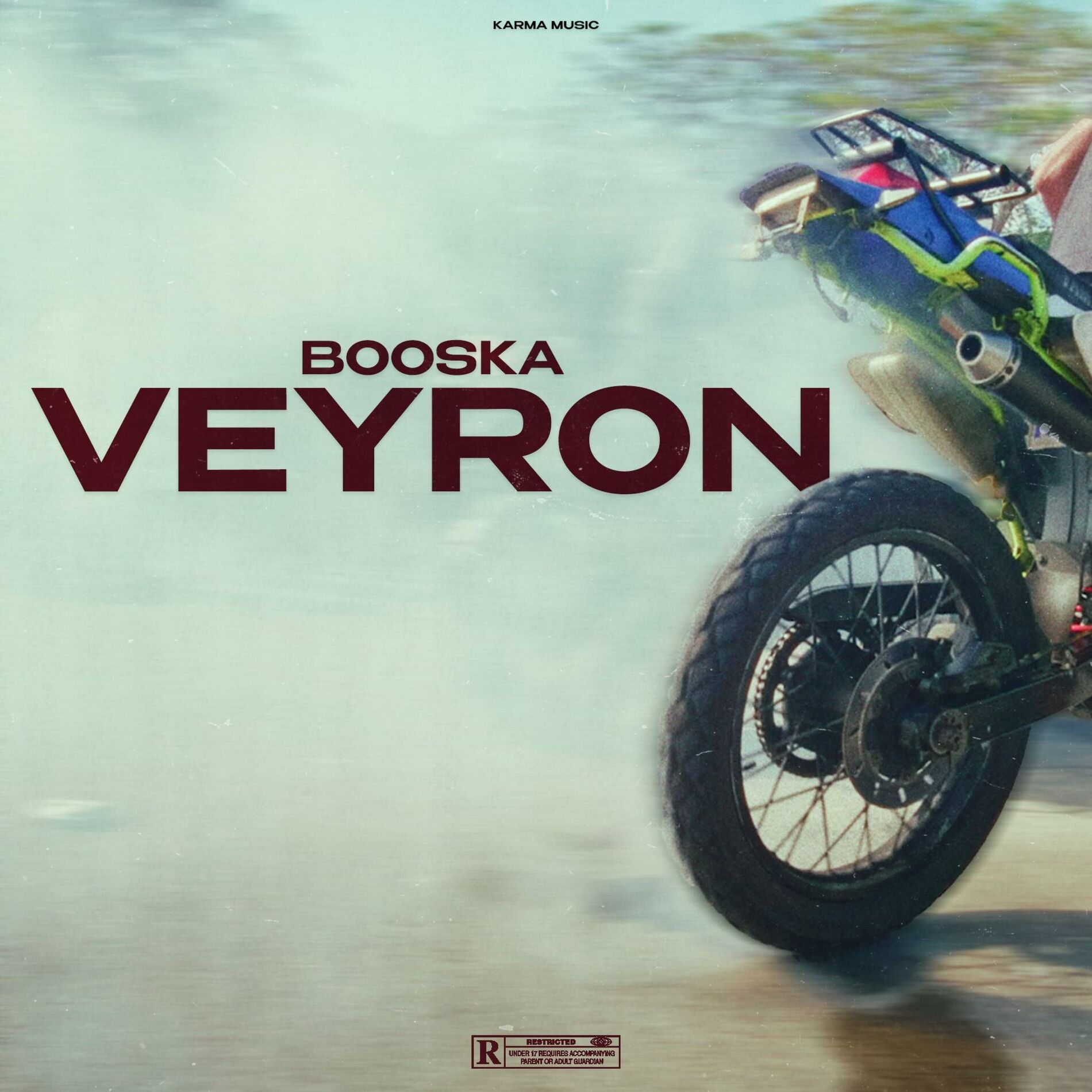 Album cover of Booska Veyron