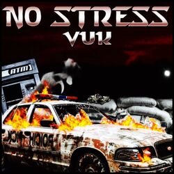 Cover of No Stress