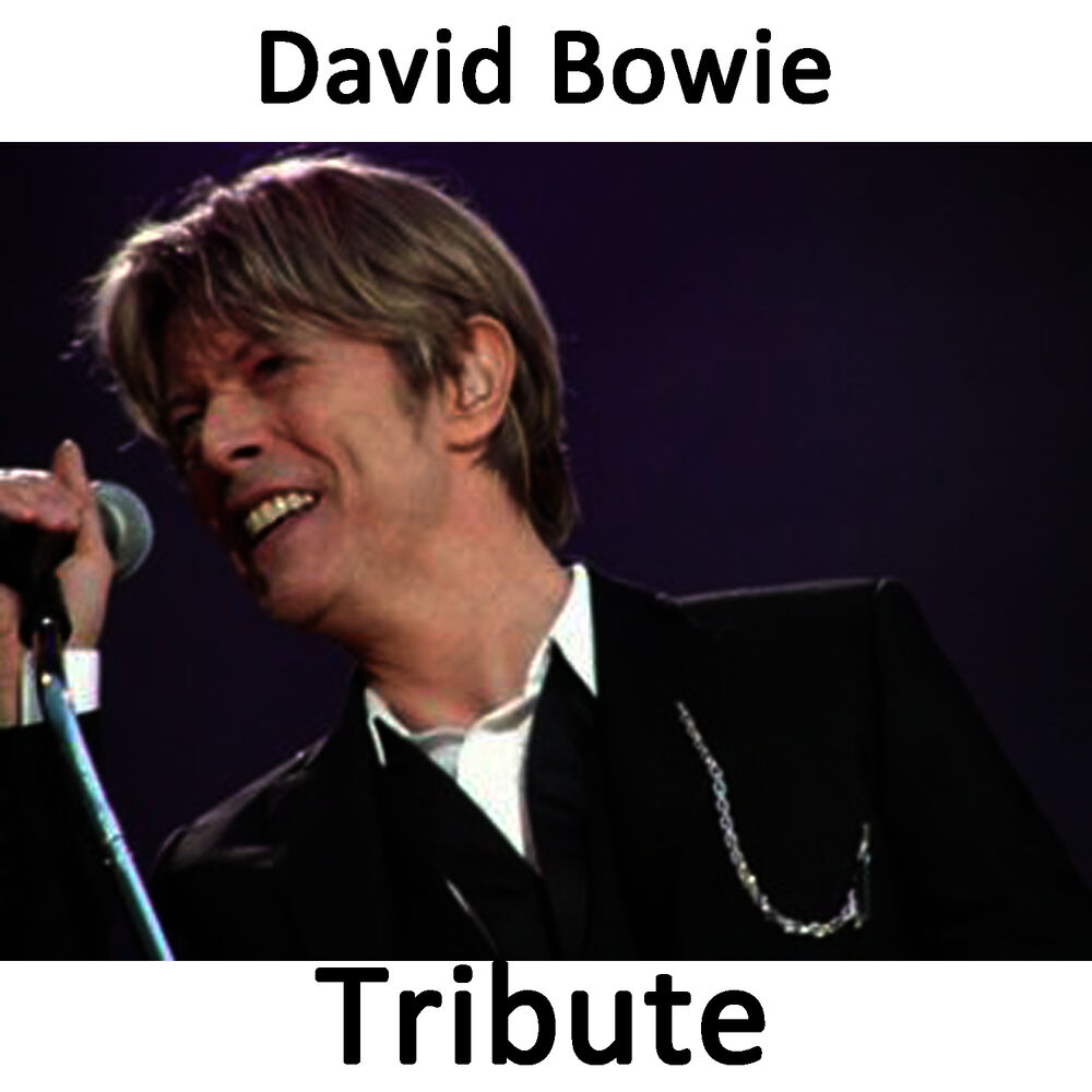 Picture of Space Oddity: Tribute To David Bowie Part 1