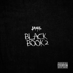 Cover of Black Book 2