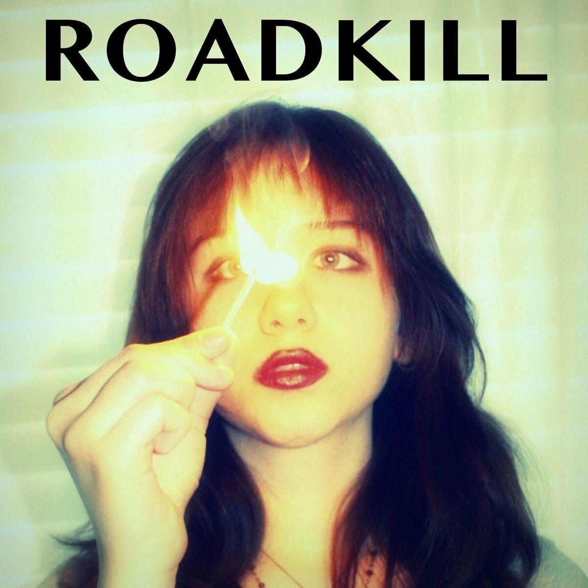 Album cover of Roadkill