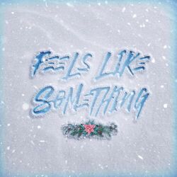 Cover of Feels Like Something