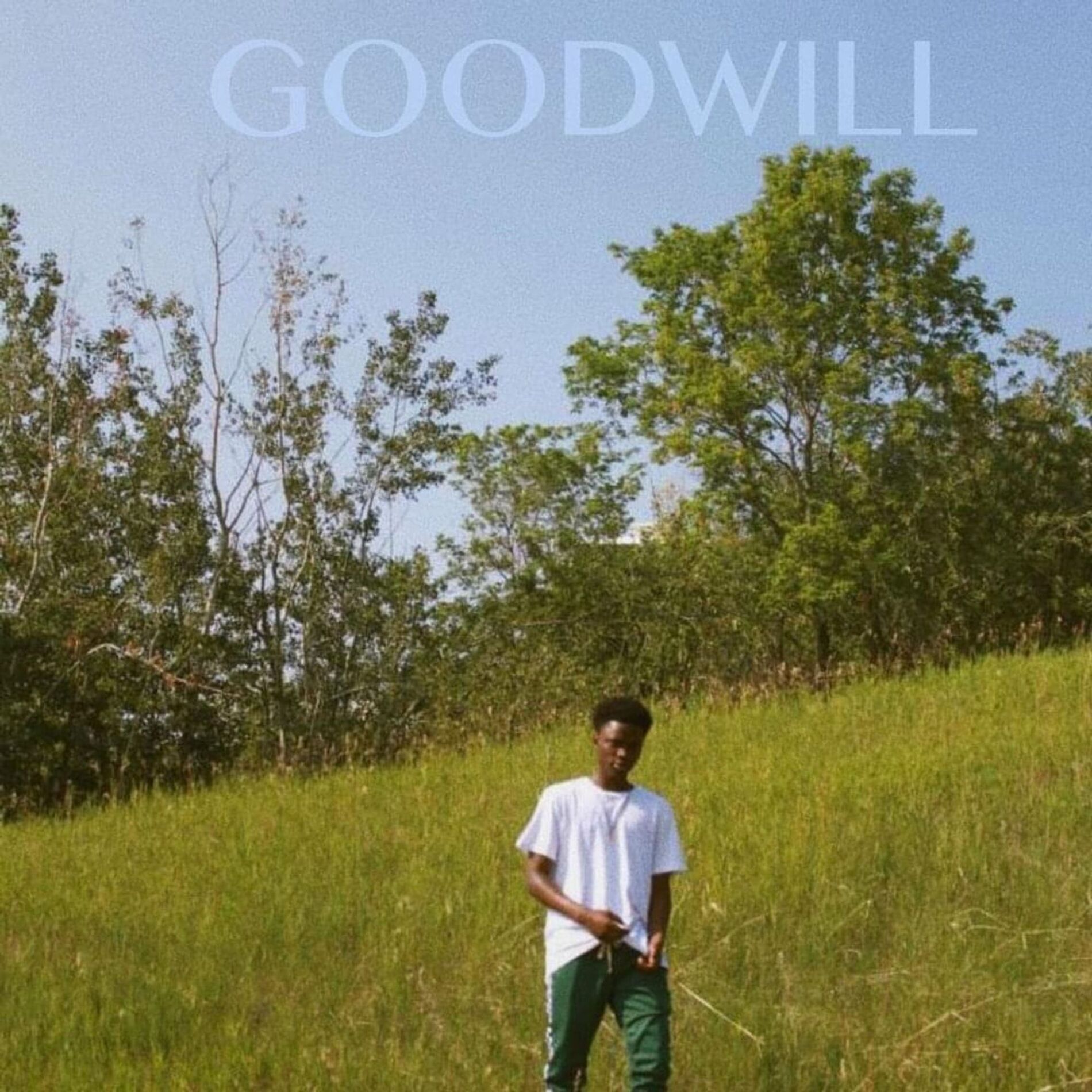 Album cover of Goodwill