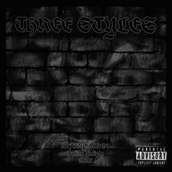 Cover of THREE STYLES