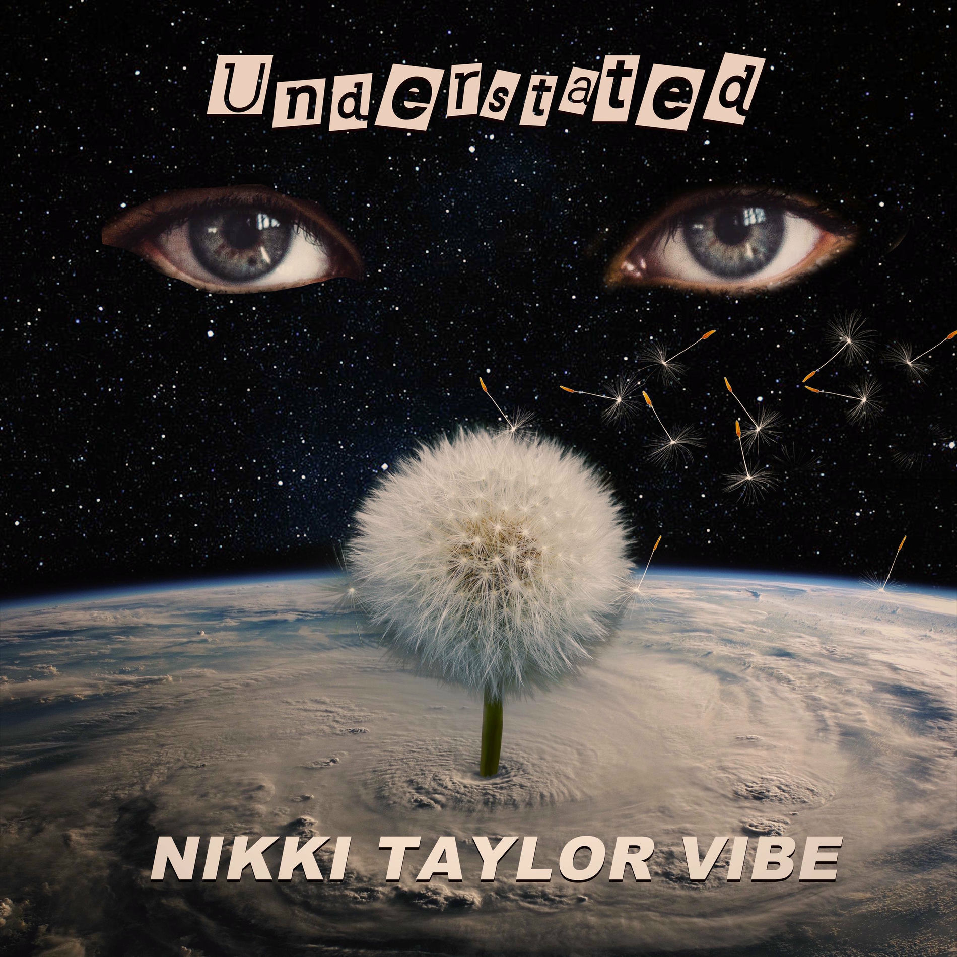 Album cover of Understated