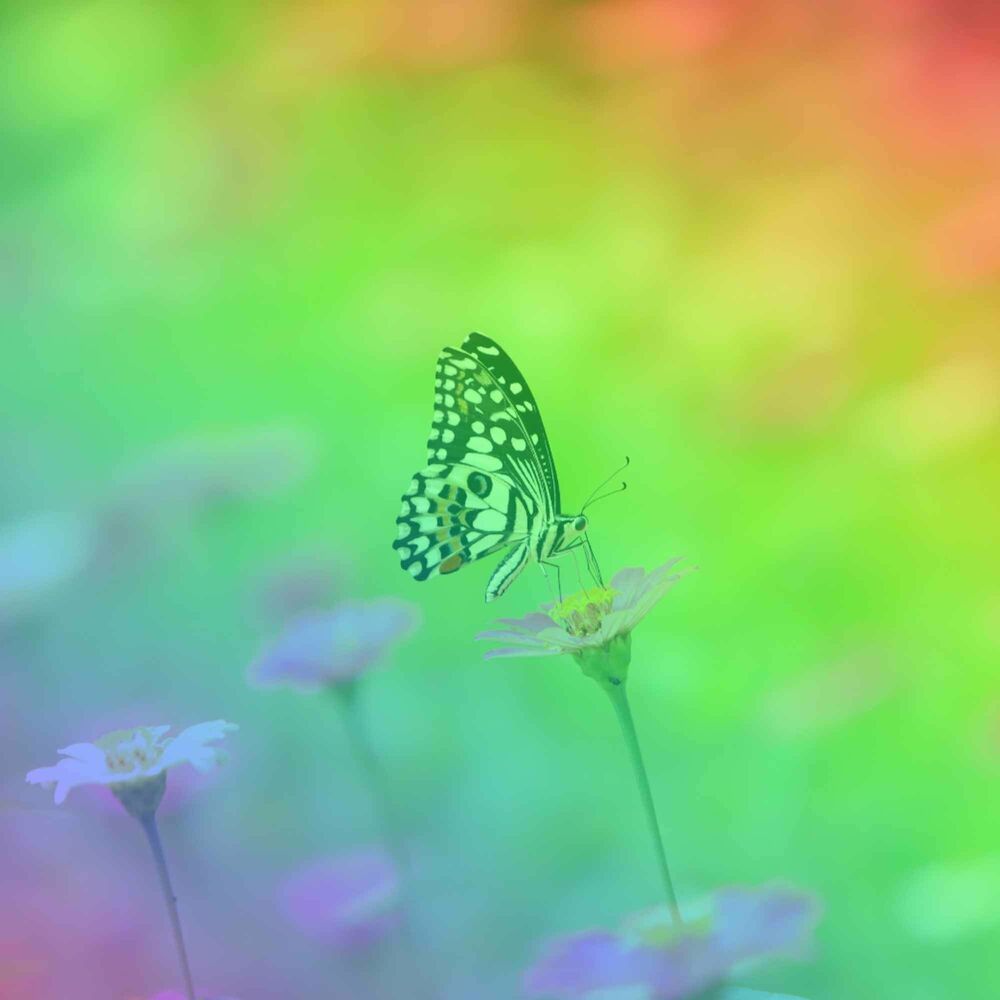 Picture of Subtle Piano Duo and Alto Saxophone - Bgm for Chilled Peace