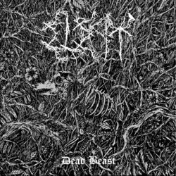 Cover of Dead Beast
