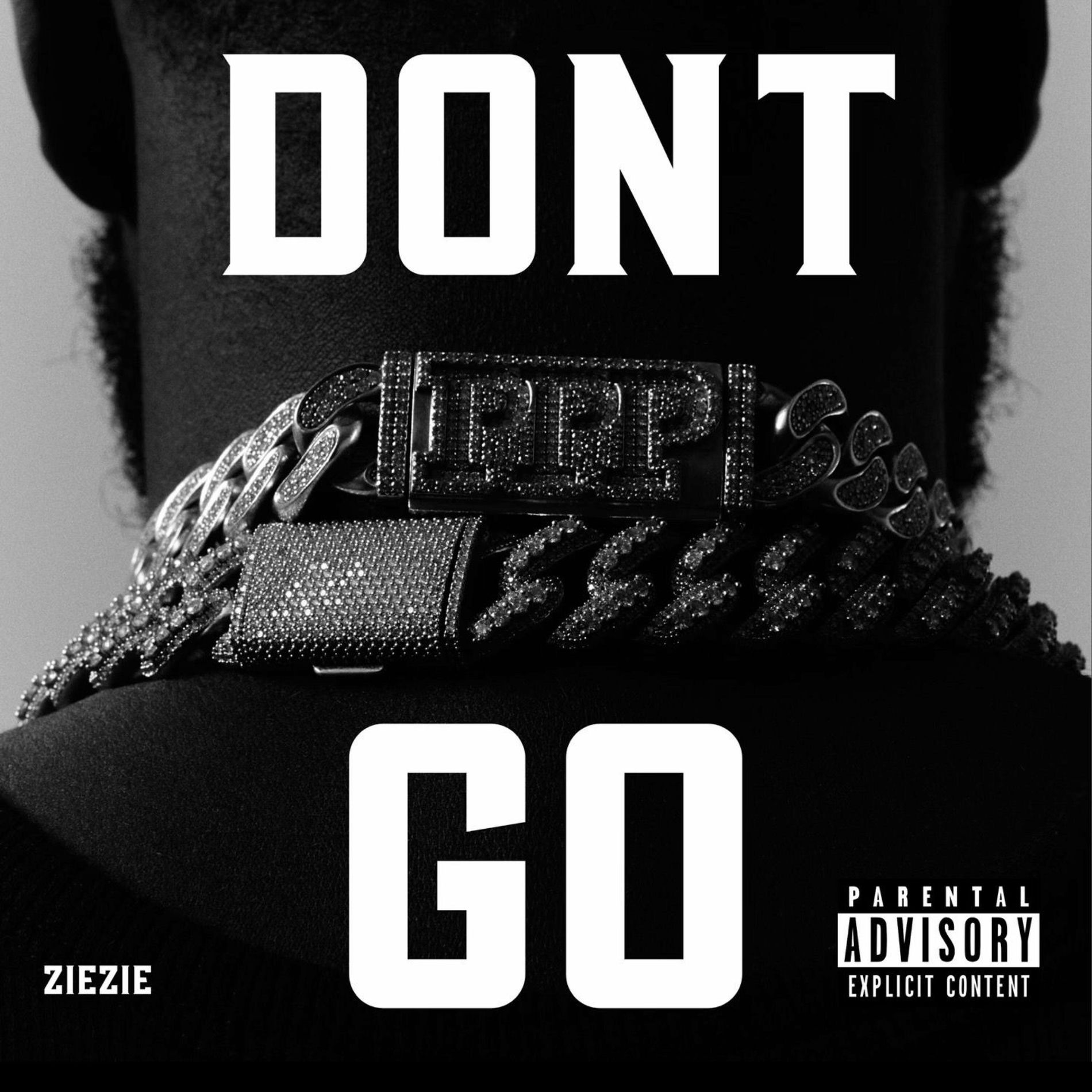 Album cover of Dont go