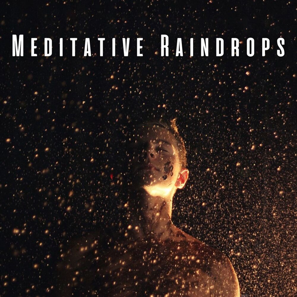Picture of Meditative Raindrops: Soothing Water Harmony and Chill Music