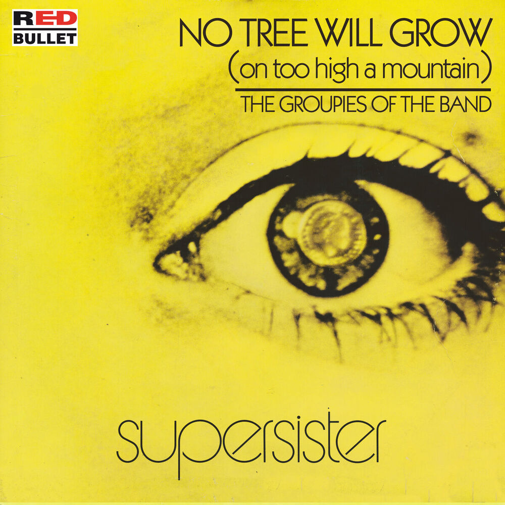 Picture of No Tree Will Grow (On Too High A Mountain)