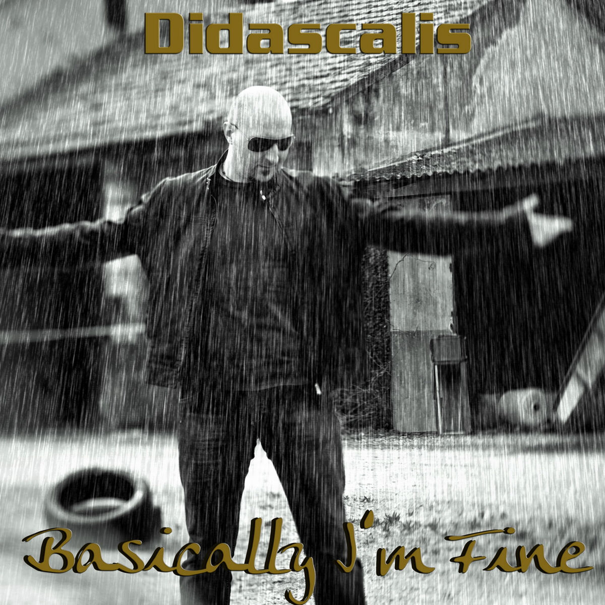 Album cover of Basically I'm Fine