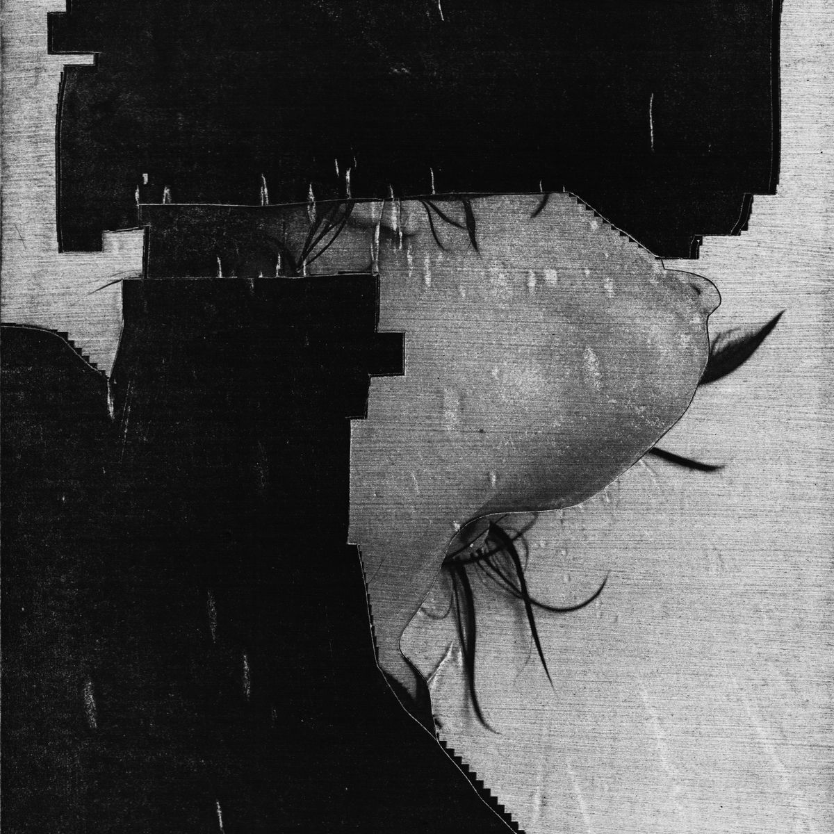 Album cover of These Moments Dismantled
