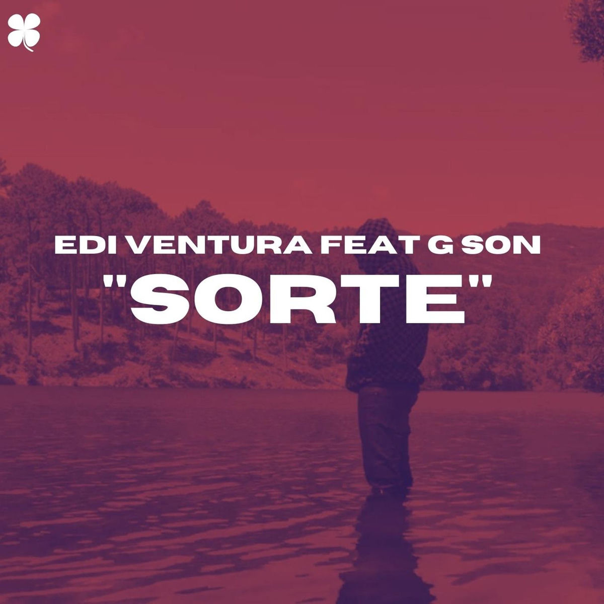 Album cover of Sorte