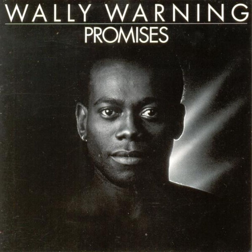 Picture of Promises