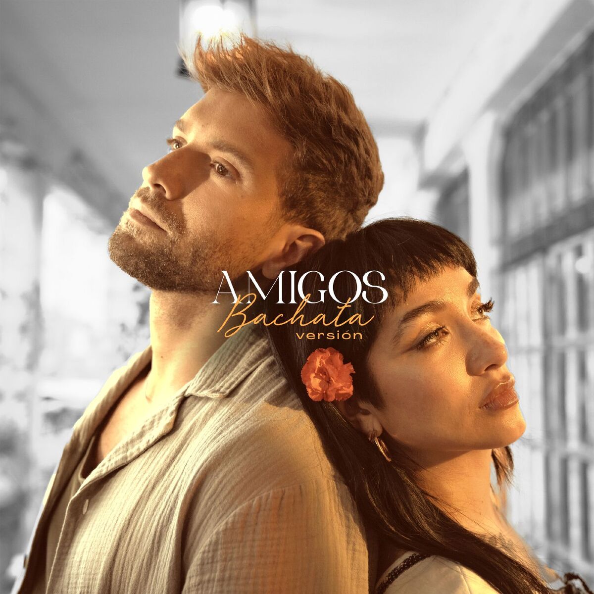 Album cover of Amigos (con Maria Becerra) (Bachata)