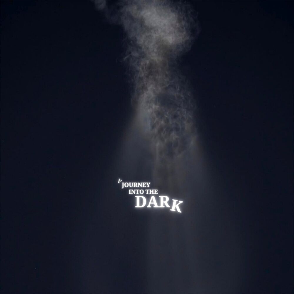 Picture of A Journey Into the Dark