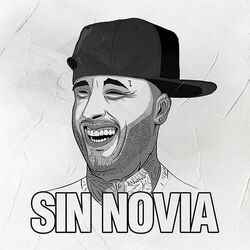 Cover of Sin Novia