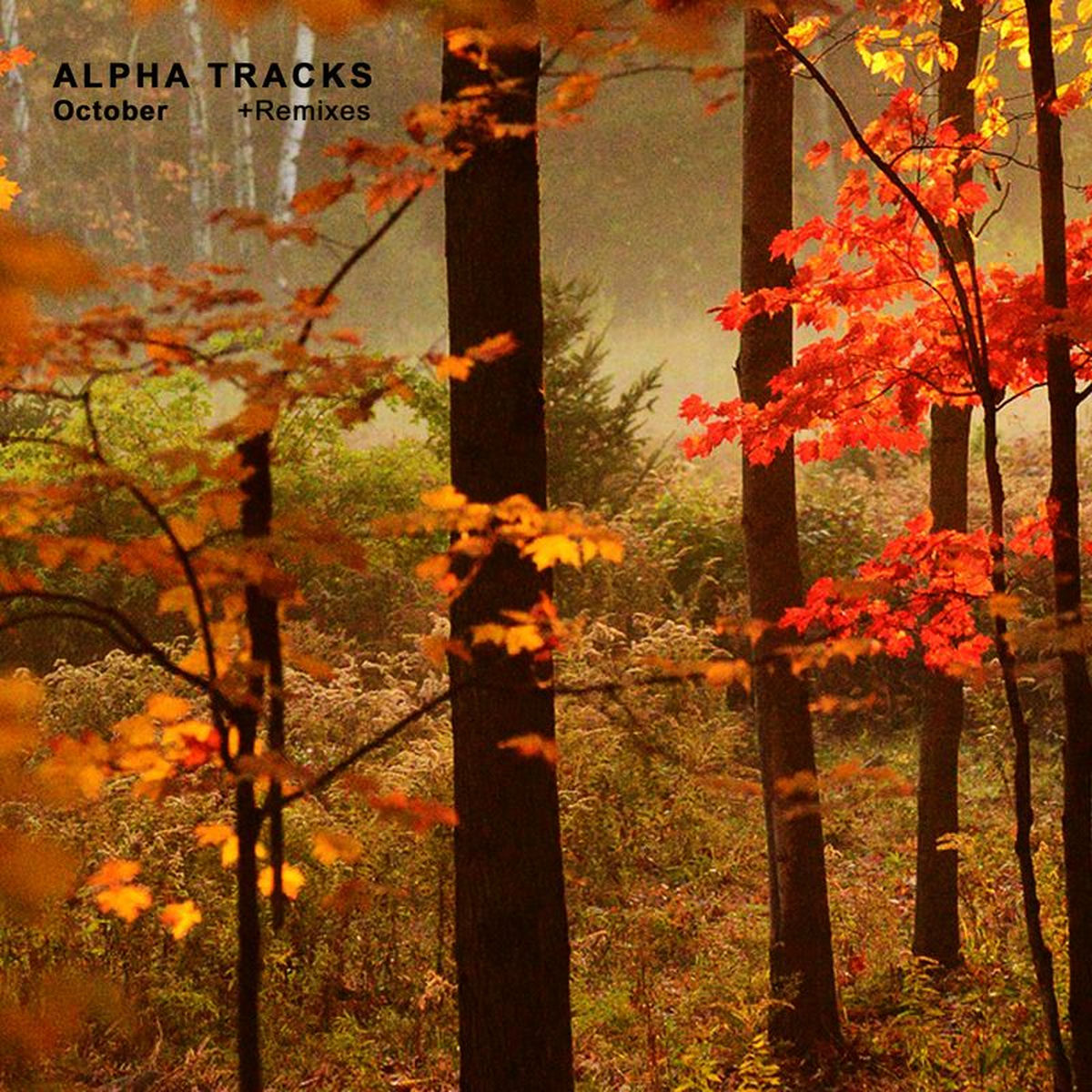Album cover of October