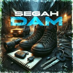 Cover of dam