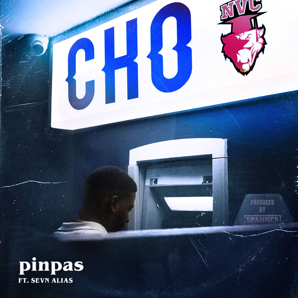 Picture of PINPAS