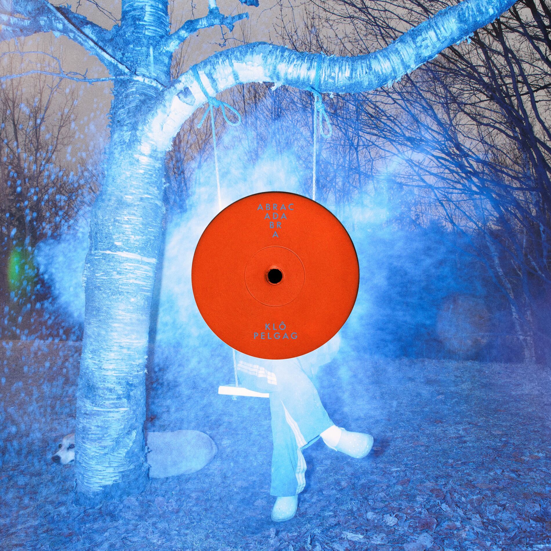 Album cover of Abracadabra