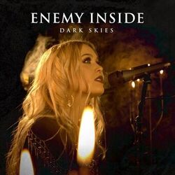 Cover of Dark Skies