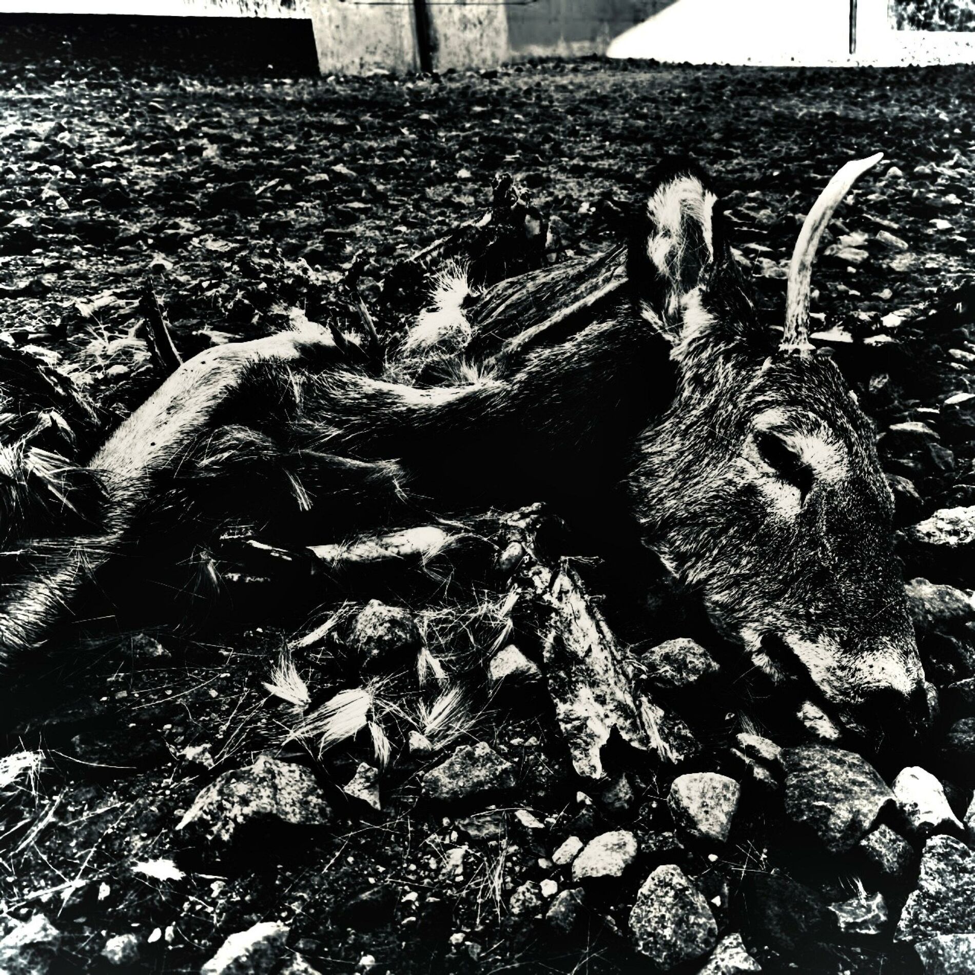 Album cover of ZERŒS (feat. Hakim)
