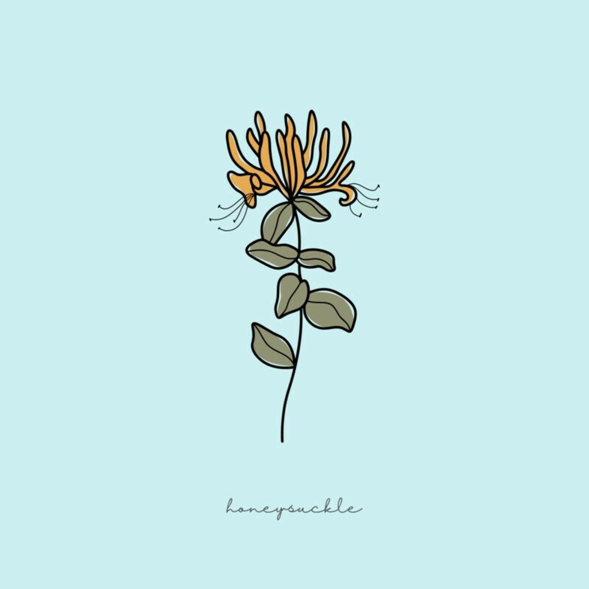 Album cover of Honeysuckle