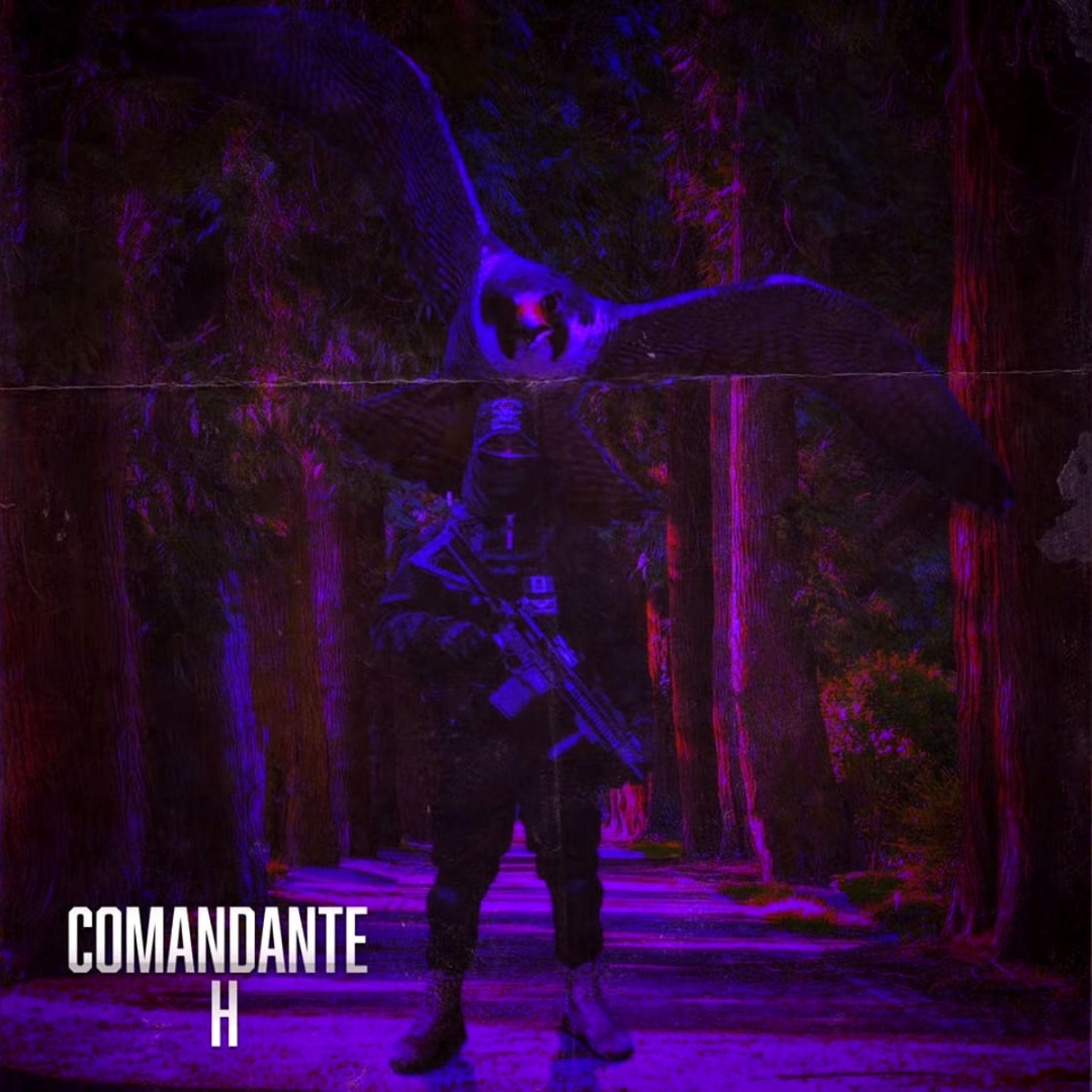 Album cover of Comandante H