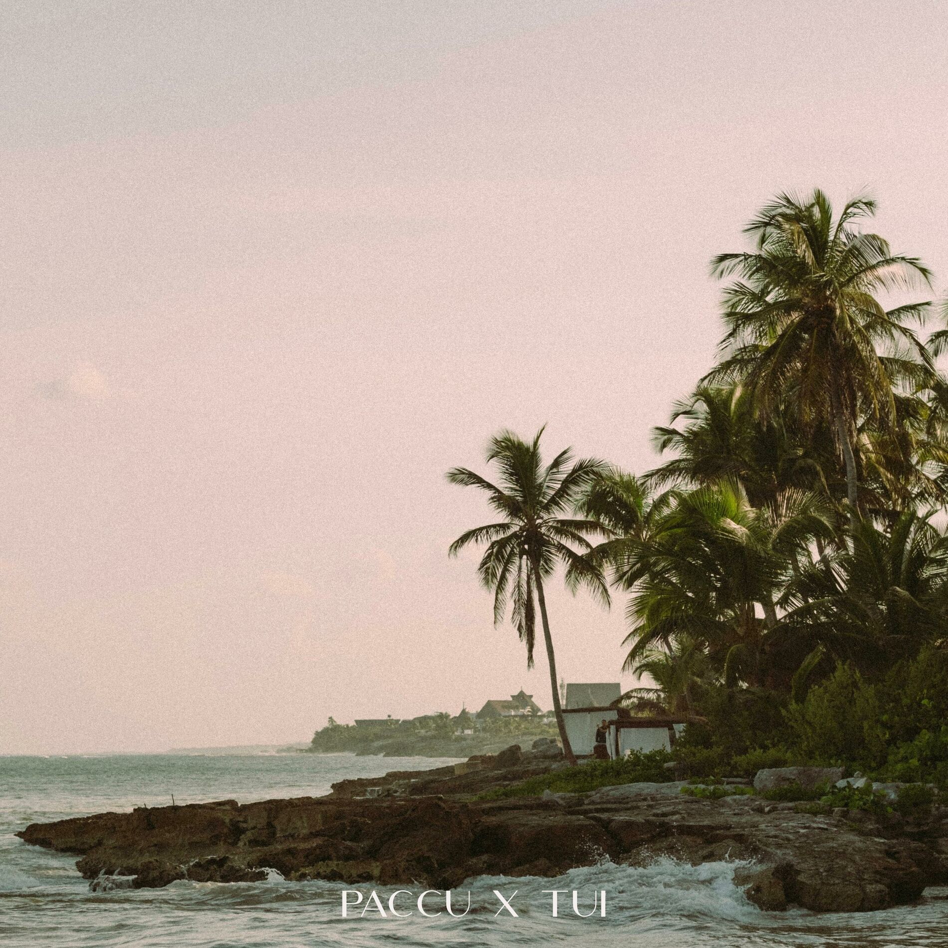 Album cover of Aeto