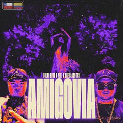 Cover of Amigovia